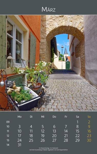 Ingelheimer Impressionen 2025 | März