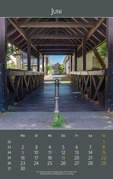 Ingelheimer Impressionen 2025 | Juni