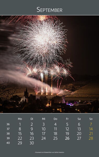 Ingelheimer Impressionen 2025 | August