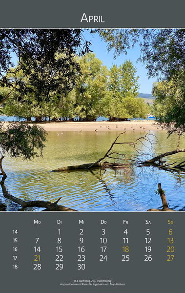 Ingelheimer Impressionen 2025 | April