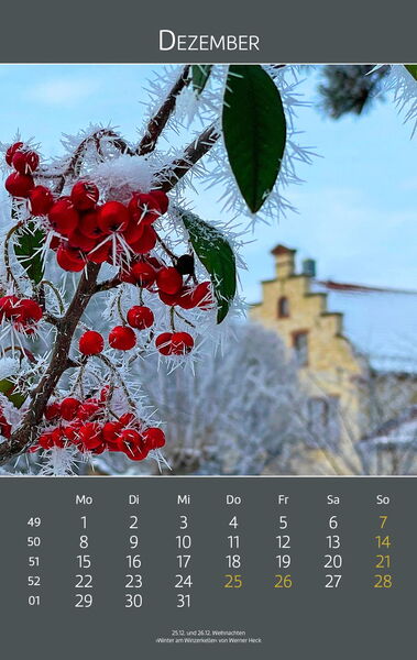 Ingelheimer Impressionen 2025 | Dezember