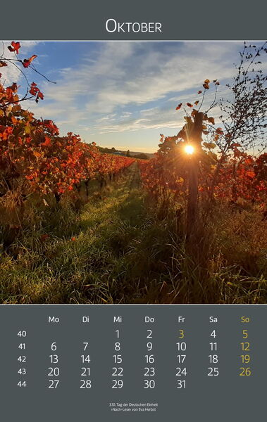 Ingelheimer Impressionen 2025 | Oktober