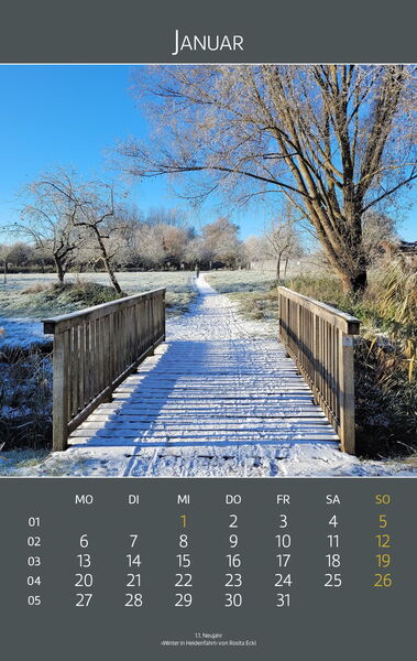 Ingelheimer Impressionen 2025 | Januar