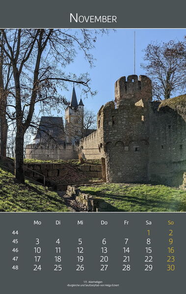 Ingelheimer Impressionen 2025 | November